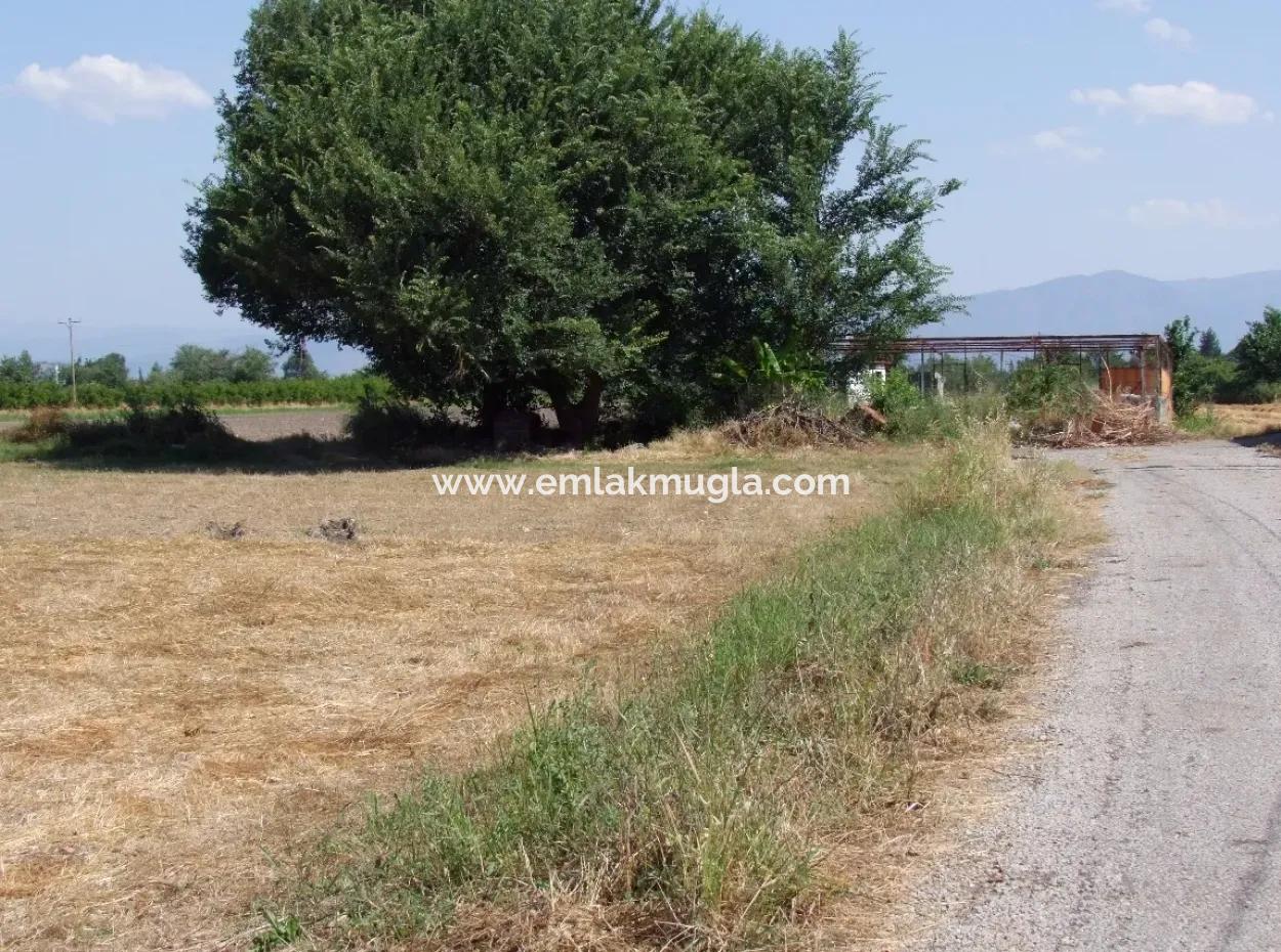 Grundstück Zum Verkauf An Der Ecke Von 540M2 In Okcular