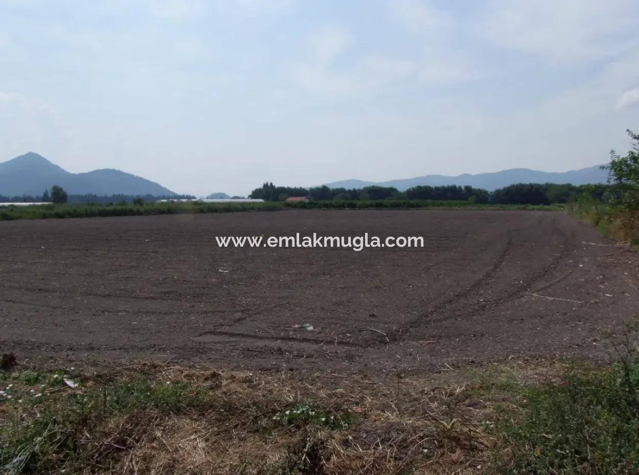 Bauernhof Zum Verkauf In Dalyan Eskikoy Eskikoy Oriya 14,900M2 Grundstück Zu Verkaufen Feld