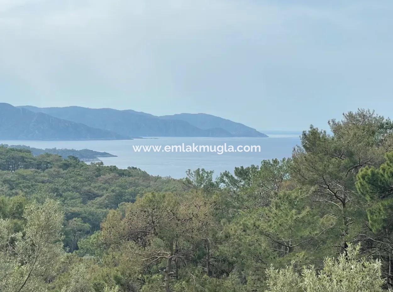 Olivenhaus Mit Meerblick In Ekincik Steht Zum Verkauf