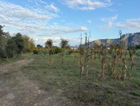 7.450M2 Land Zum Verkauf In Der Nähe Des Zentrums Von Dalyan