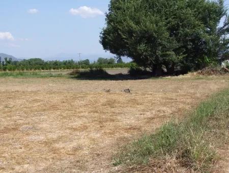 Grundstück Zum Verkauf An Der Ecke Von 540M2 In Okcular