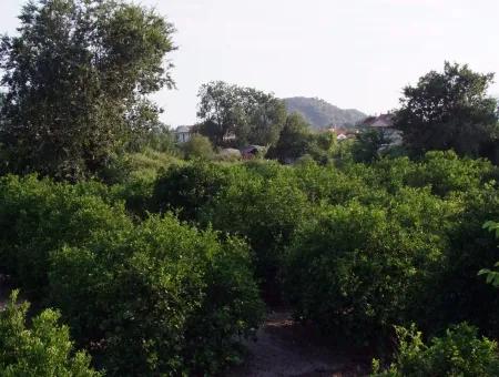 Nahe Dem Zentrum Von Dalyan In Dalyan Grundstück Für Verkauf Zum Verkauf 987M2