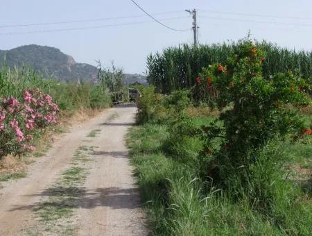 Merkez Dalyan Iztuzu See-Garten-Villa Zum Verkauf