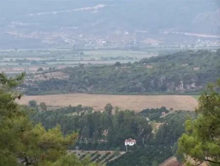 Gökçe Gökçe 21671M2 Bauernhof Zum Verkauf Zum Verkauf