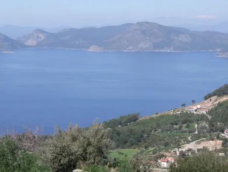 Land Zum Verkauf In Faralya Mit Vollem Meerblick Zum Verkauf