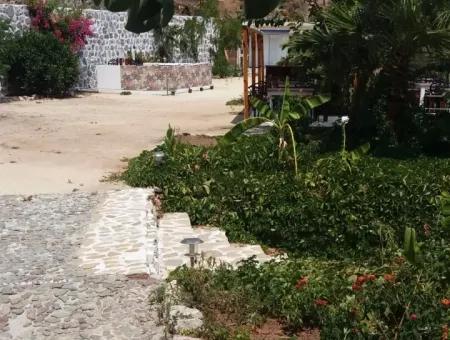 Benutzerdefinierte Dorf Am Meer Zu Verkaufen Villa Zum Verkauf In Osmanabad