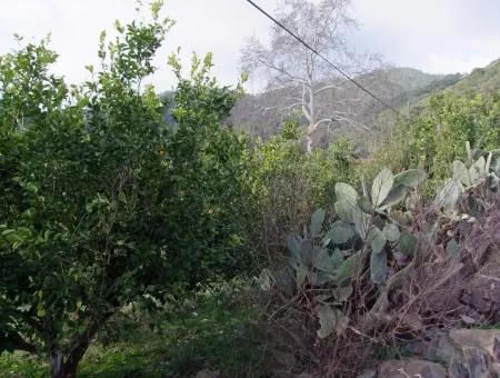 Zum Verkauf In Koycegiz, Dalyan Grundstück Zum Verkauf 10629M2