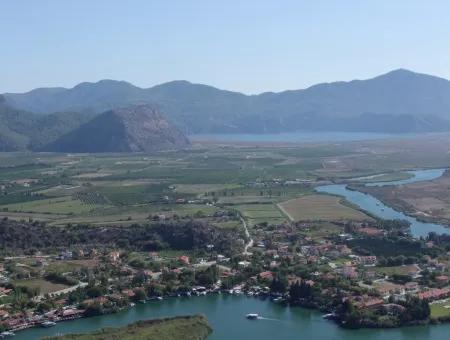 Maras In Dalyan Zum Verkauf In Dalyan 7300M2 %5 Grundstück Zum Verkauf