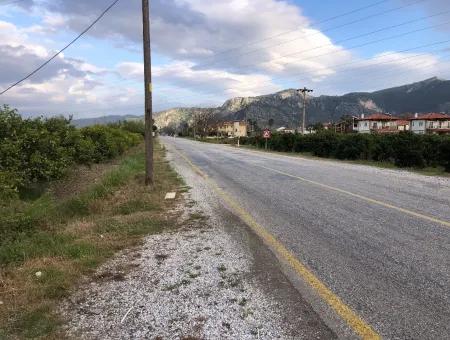 Bauernhof Zum Verkauf In Dalyan Grundstück Zum Verkauf In Highway Null 9029M2