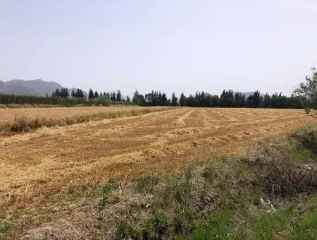 Ackerland Zum Verkauf 39 Hektar In Eskikoy