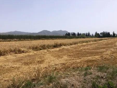 Ackerland Zum Verkauf 39 Hektar In Eskikoy