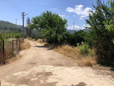 Garten Zum Verkauf In Gokce Akyaka, In Der Nähe Vom Meer, 38,000M2 Grundstück Zum Verkauf