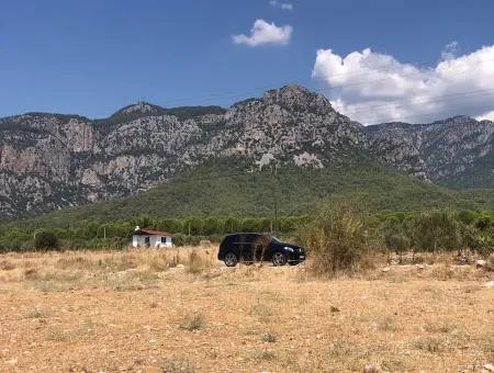 11.227M2 Grundstück Zum Verkauf Mit Seeblick In Köyceğiz Zeytinalan