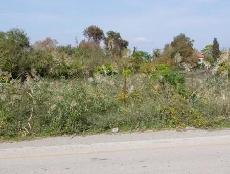 Grundstück Zu Verkaufen In Guzelyurt Land Zu Verkaufen Null 5515M2 Land Zum Verkauf An Der Hauptstraße