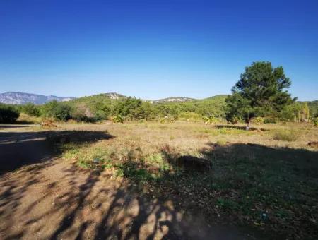 Land Zum Verkauf In 'Aml'da Marmaris 'Aml'da Meerblick 11720M2 Land Zu Verkaufen