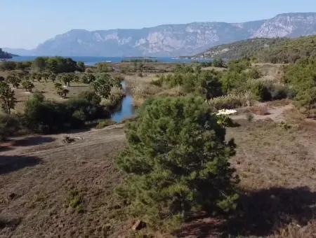 Land Zum Verkauf In 'Aml'da Marmaris 'Aml'da Meerblick 11720M2 Land Zu Verkaufen