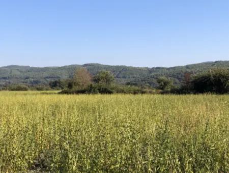 Field Zu Verkaufen In Ak'apinar 100 Acres Zu Verkaufen