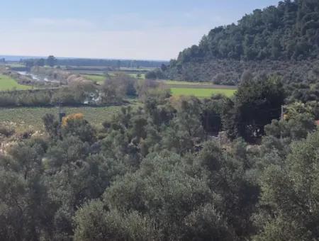 Grundstück Zum Verkauf Mit Meerblick Von Fevziye