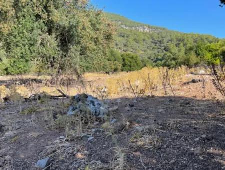 2620M2 Grundstück Zum Verkauf Mit Meerblick Von Çandir