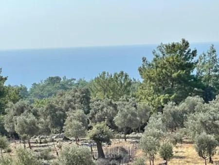 Feldgrundstück Zum Verkauf Mit Meerblick Von Çandir