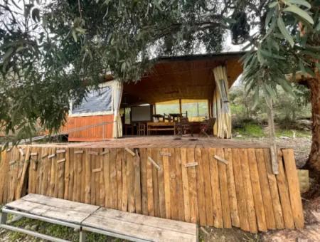 Dalyan Boutique Hotel Zum Verkauf Bungolevler Zum Verkauf In 11.000M2 Grundstück