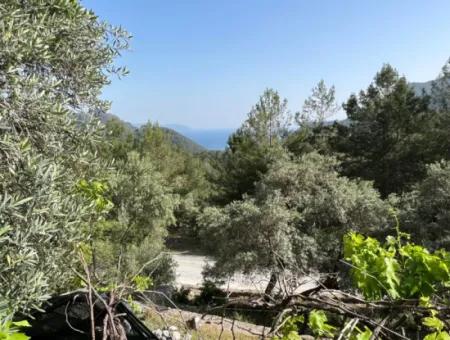 Einfamilienhaus Zum Verkauf Mit Ekincik Meerblick