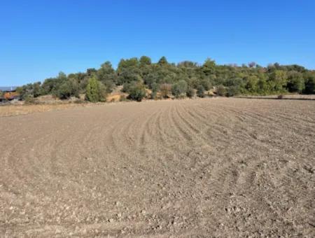 6254M2 Feld Zum Verkauf In Der Nähe Von Dalyan In Eskiköy