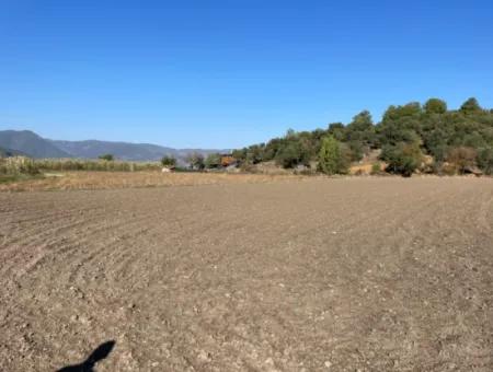 6254M2 Feld Zum Verkauf In Der Nähe Von Dalyan In Eskiköy