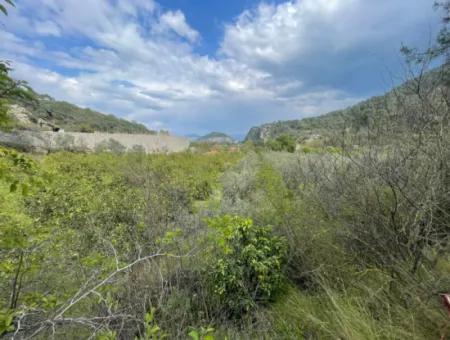 5000M2 Feld Zum Verkauf Am Anfang Der Straße In Çandır