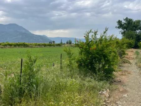 2.528M2 Feld Zum Verkauf In Der Nähe Des Zentrums Von Dalyan