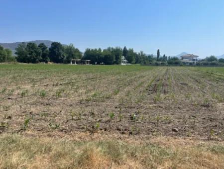 Grundstück Zum Verkauf Von 2715M2 Im Bebauten Gebiet Des Dorfes In Okçular