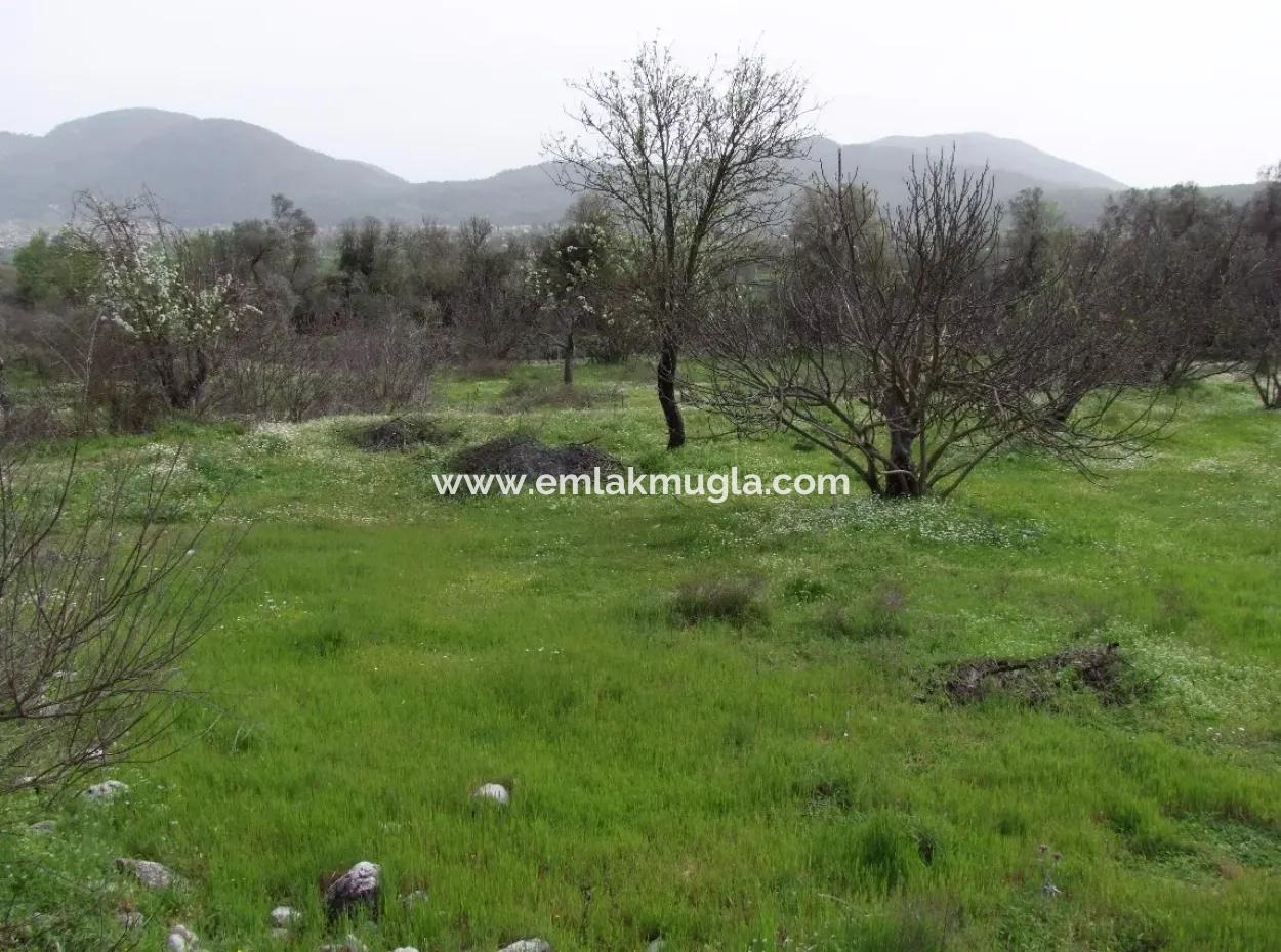 In Incirkoy Uzumlu Fethiye Plot For Sale Farm For Sale In Incirkoy