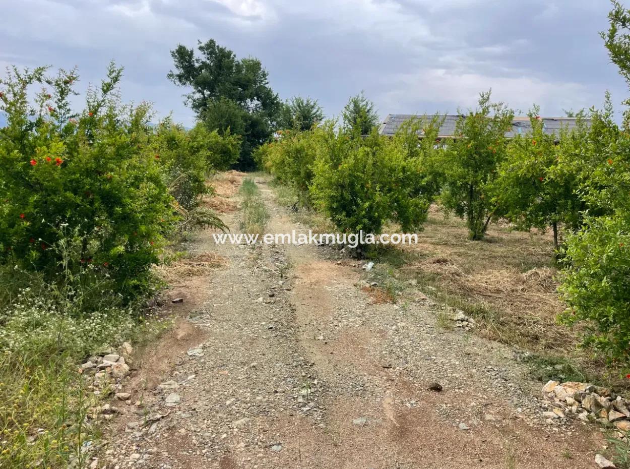 2,528M2 Field For Sale Near The Center Of Dalyan