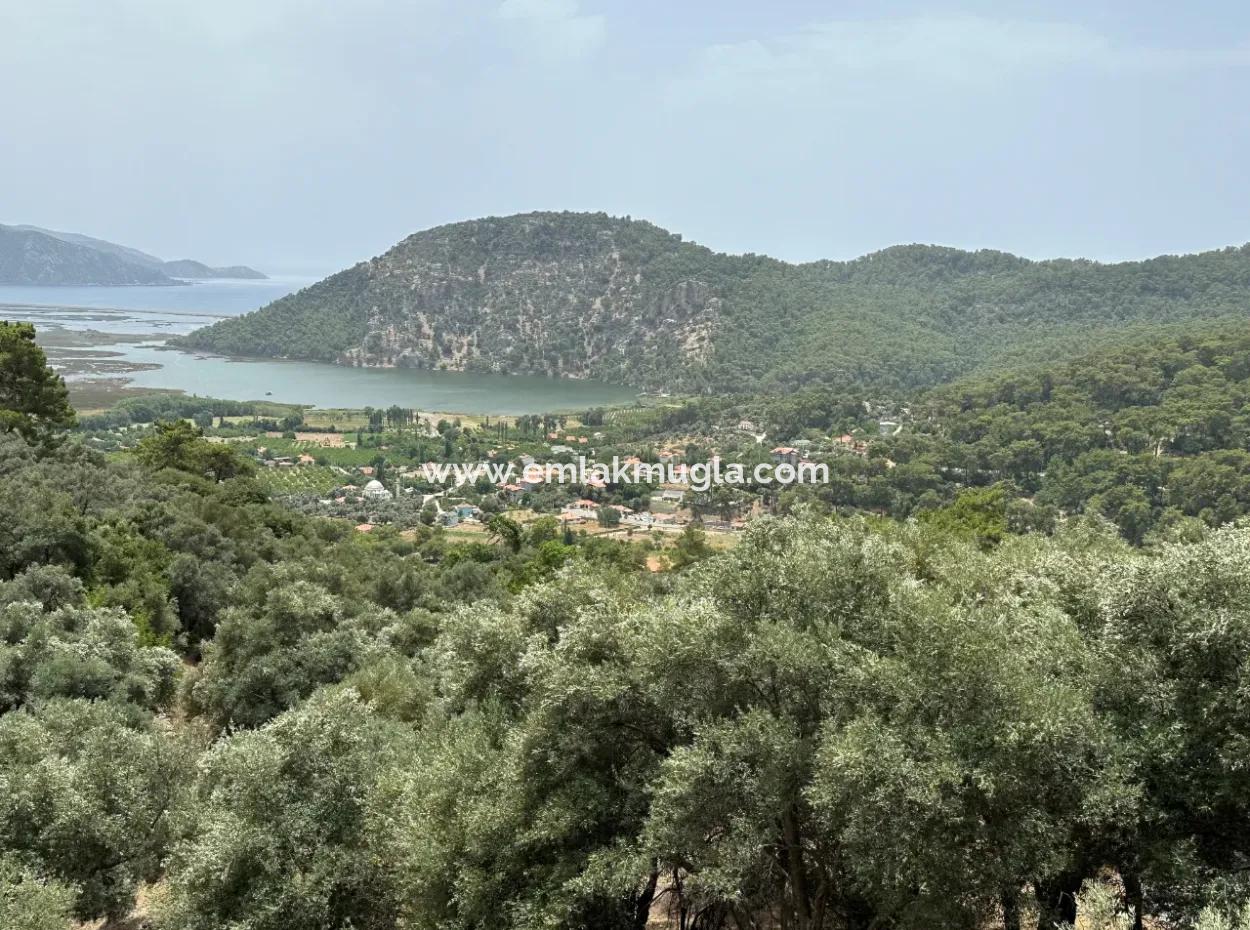 Land For Sale In Çandır With Lake Sea View