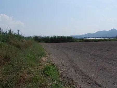 Farm For Sale In Dalyan Eskikoy Eskikoy Oriya 14,900M2 Plot For Sale Field