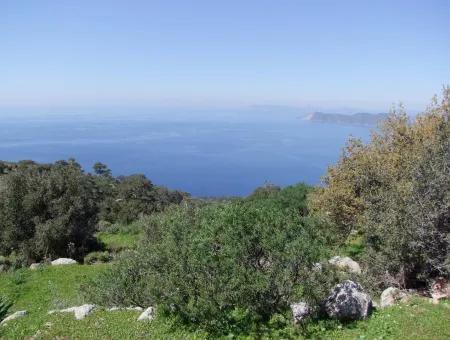 For Sale In Faralya Faralya With Sea View And 11,286M2 Land For Sale Tourism