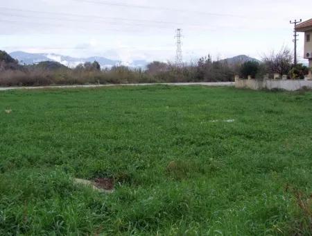 Gulpinar Dalyan Dalyan For Sale In 1002M2 Plot For Sale For Sale Cornerstone