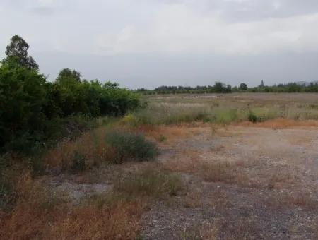 Commercial Plot For Sale In Dalyan, Dalyan On Highway 17,805M2 Plot For Sale Bargain