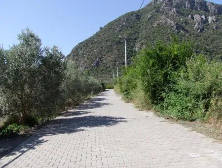 930M2 Land For Sale In Plot For Sale In Mergenli Ortaca Mergenli