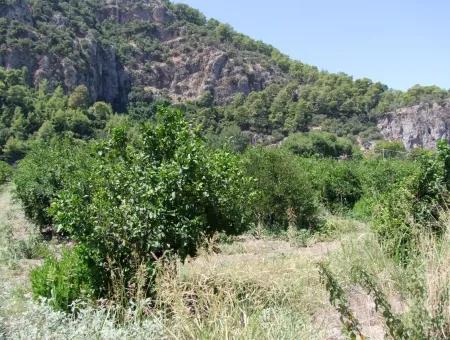 In Dalyan Plot For Sale In Channel Zero