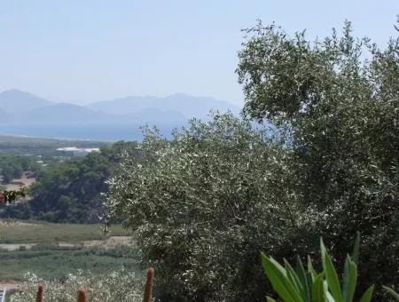 For Sale Land Also With Full Sea View For Sale In Sarigerme Land For Sale