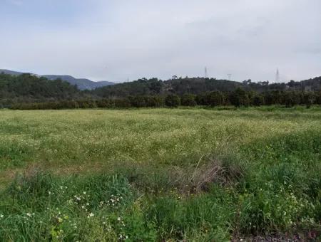 In Akyaka For Sale: Land For Sale Farm For Sale A Farm Near The Sea Of Ars, Yatirimlik 21625M2