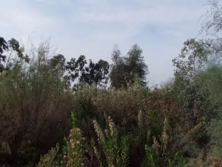 For Sale Land In Dalyan For Sale Dalyan Channel Zero