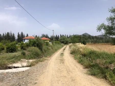 Farm Land For Sale 39 Acres In Eskikoy