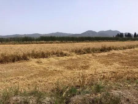 Farm Land For Sale 39 Acres In Eskikoy