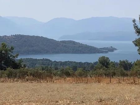 11.227M2 Land For Sale With Lake Views In Köyceğiz Zeytinalanı