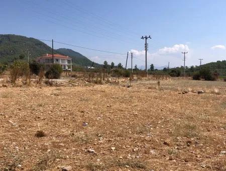 11.227M2 Land For Sale With Lake Views In Köyceğiz Zeytinalanı