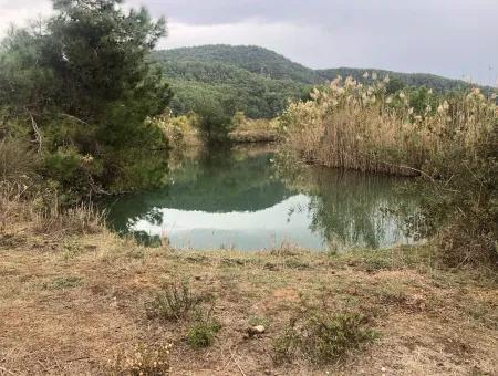 Land  For Sale Zero To Çamlı Canal 28768M2 Land For Sale With Sea View In Camlida