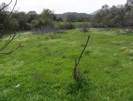 In Incirkoy Uzumlu Fethiye Plot For Sale Farm For Sale In Incirkoy