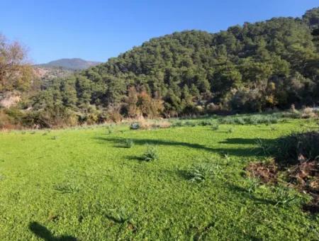 Ekincik Land For Sale 10,038M2 Land For Sale Field